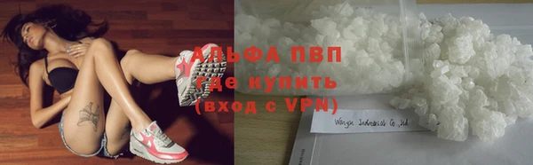 трава Богородицк