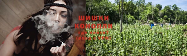 трава Богородицк